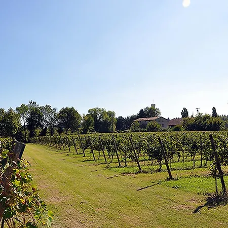 Alloggio per agriturismo Azienda Agrituristica Armea *
